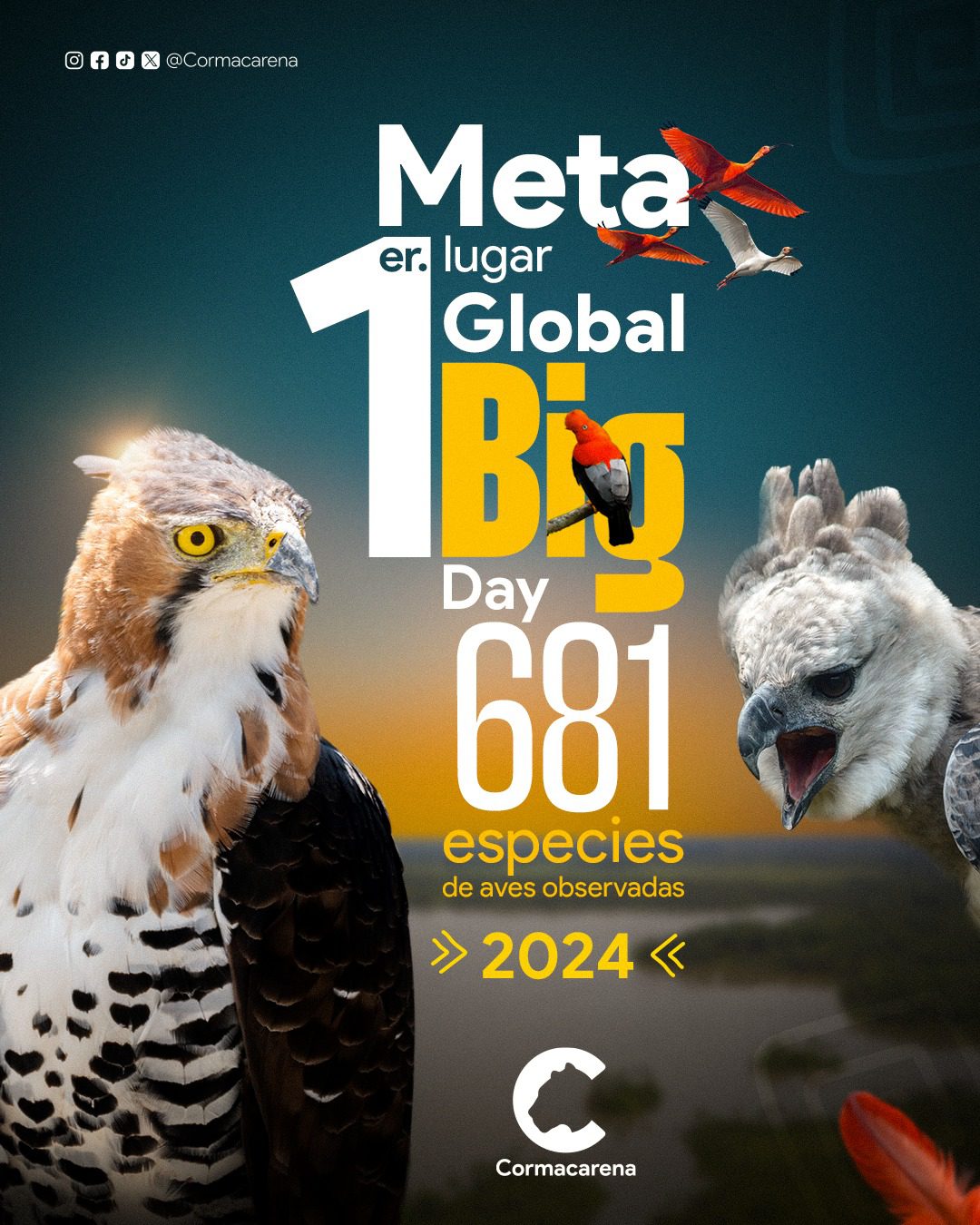 Primer lugar en el Global Big Day 2024.