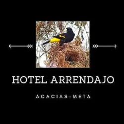 arrendajo